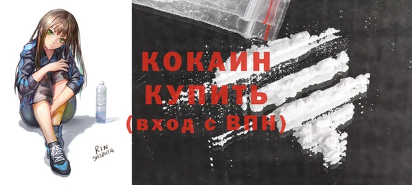 гашик Костерёво