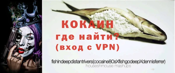 гашик Костерёво