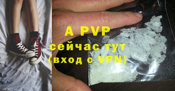 винт Коряжма