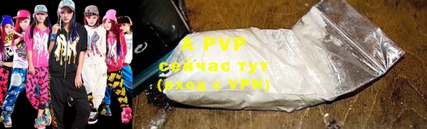 гашик Костерёво