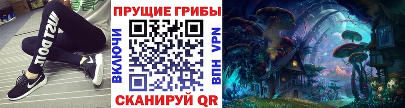 Галлюциногенные грибы GOLDEN TEACHER где купить наркоту Красный Сулин